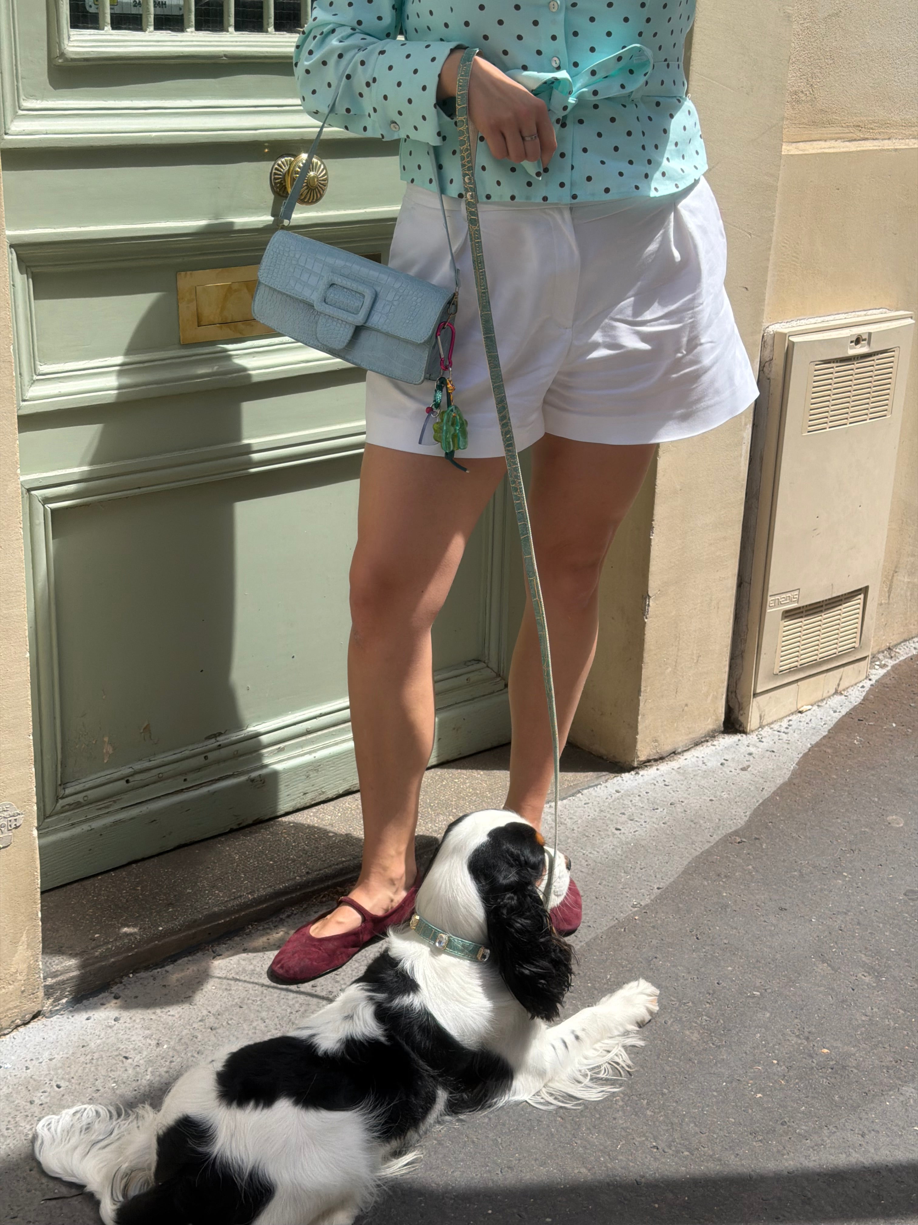 Jade Luxe Gem Collar + Leash