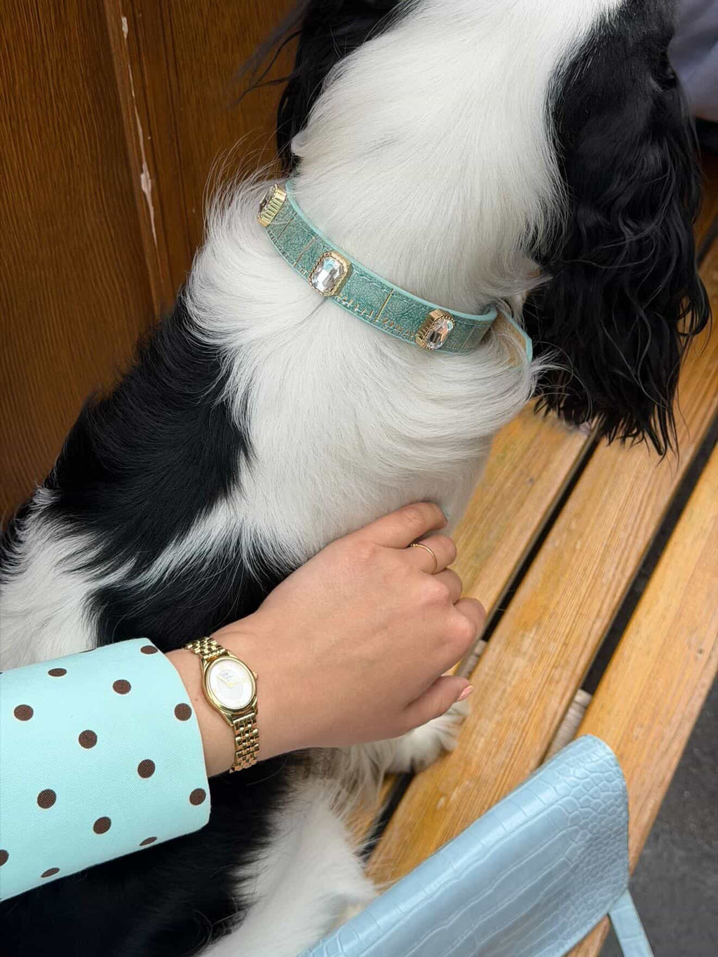 Jade Luxe Gem Collar + Leash