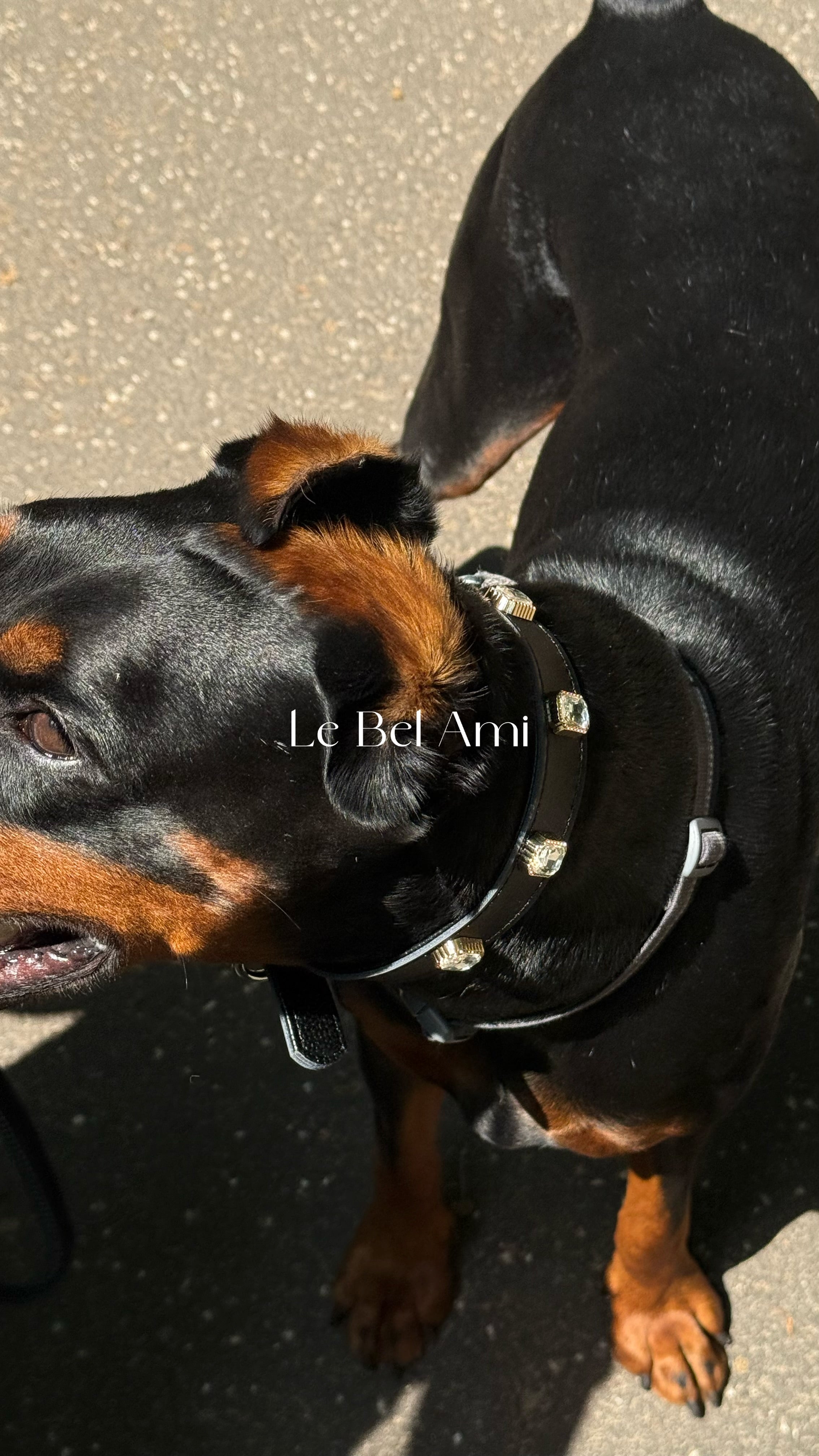 Noir Radient Collar