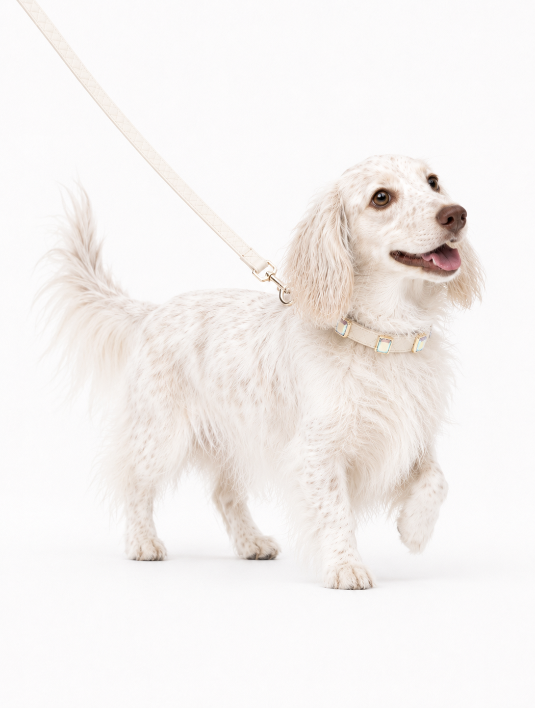 Beige Aurora Baby Collar + Leash