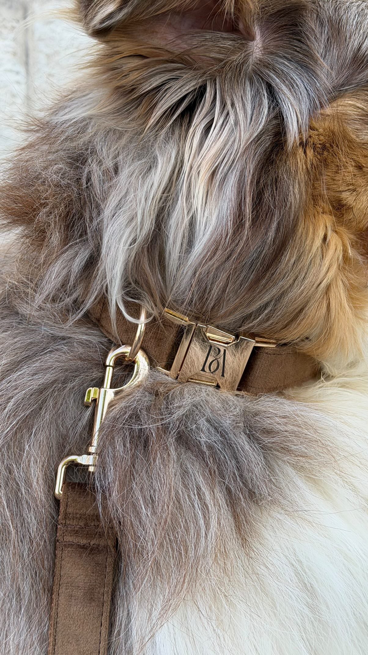 Coco Velvet Pet Collar