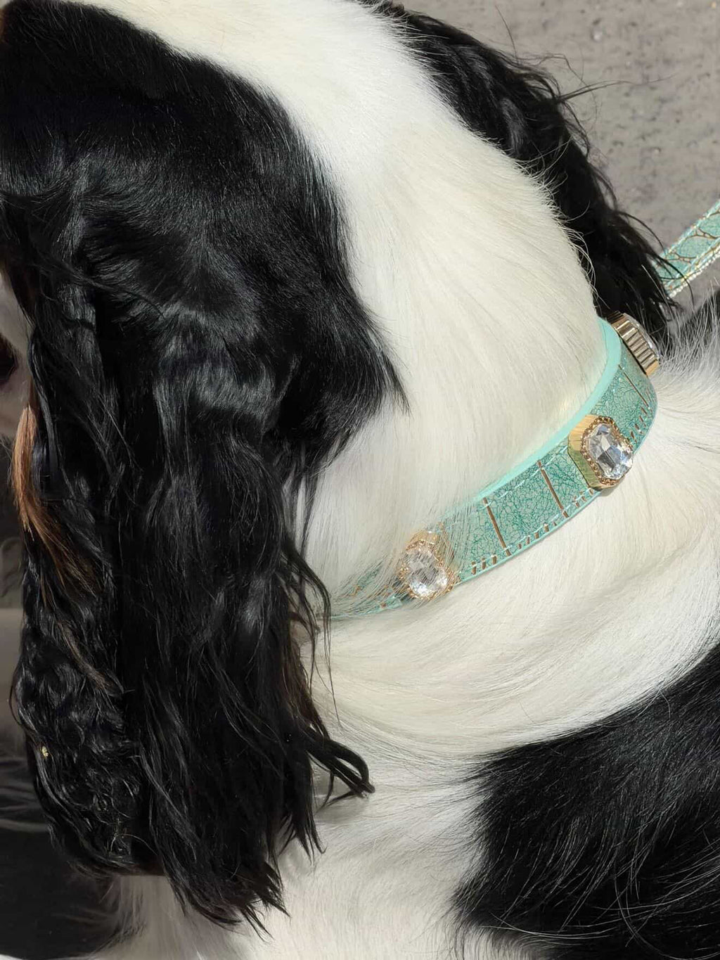Jade Luxe Gem Collar + Leash