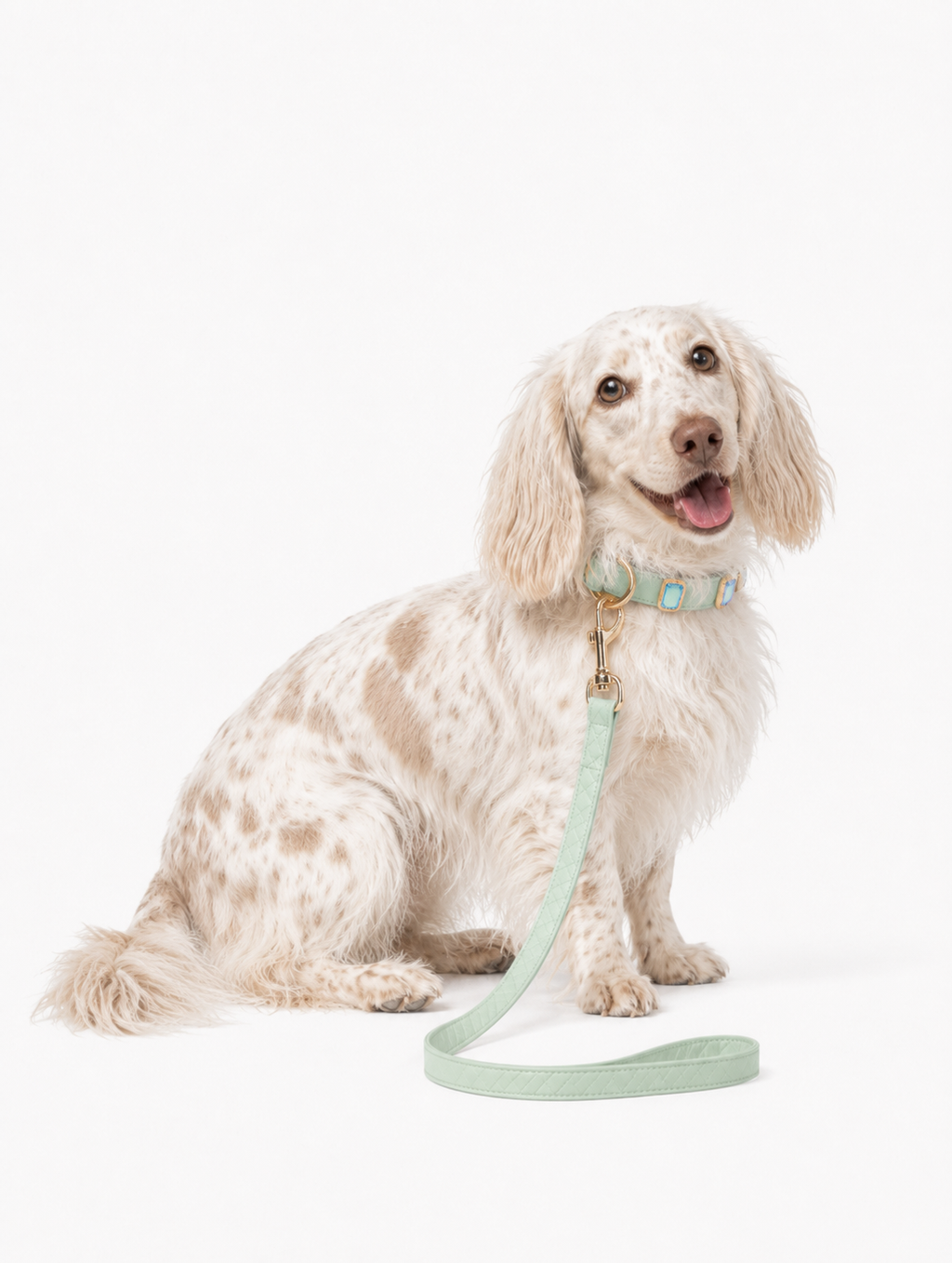 Mint Aurora Baby Collar + Leash