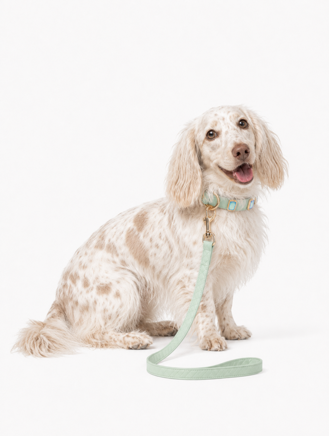 Mint Aurora Baby Collar + Leash