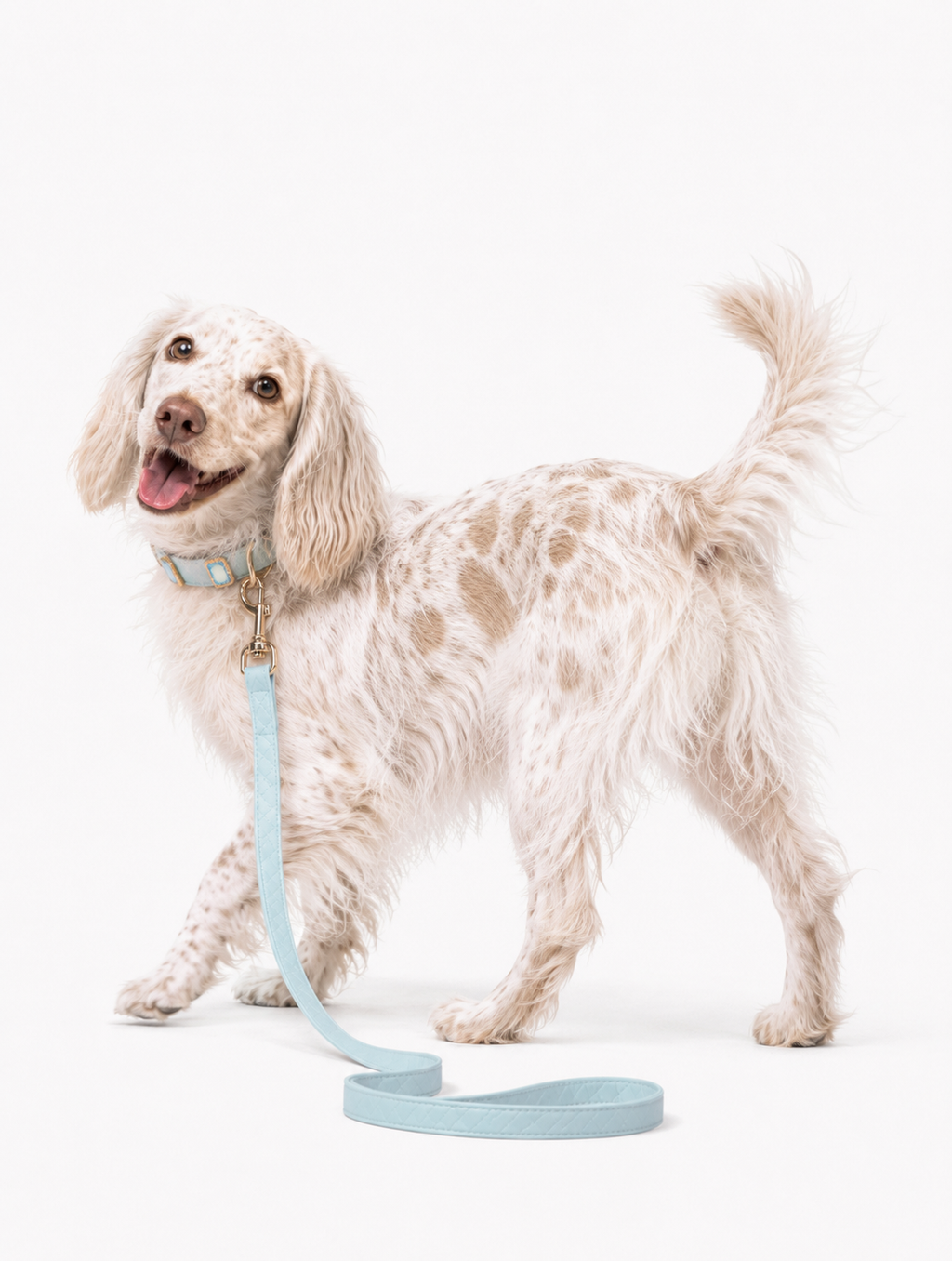 Arctic Aurora Baby Collar + Leash