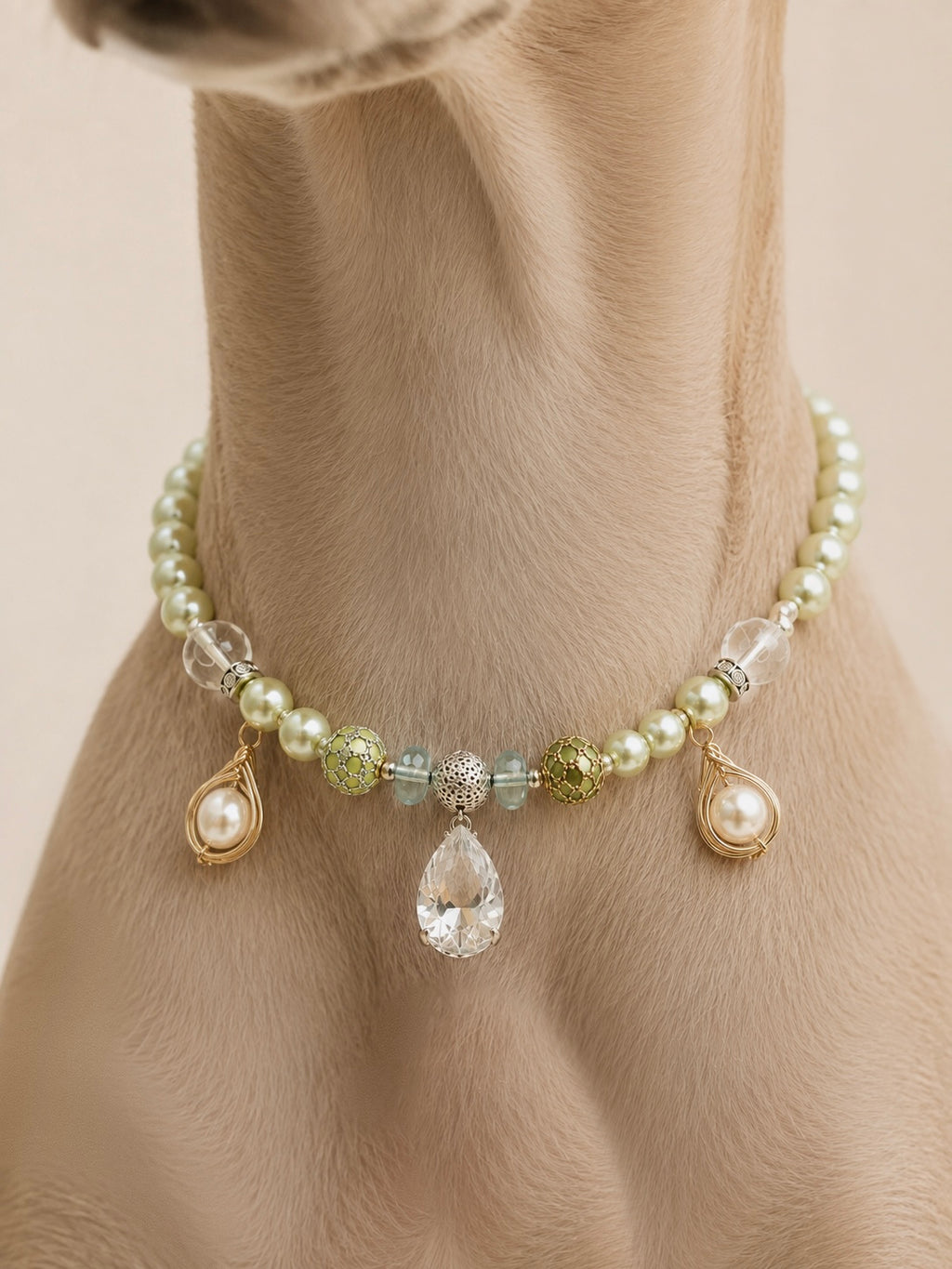 Bespoke Pet Jewelry — Made Just for You