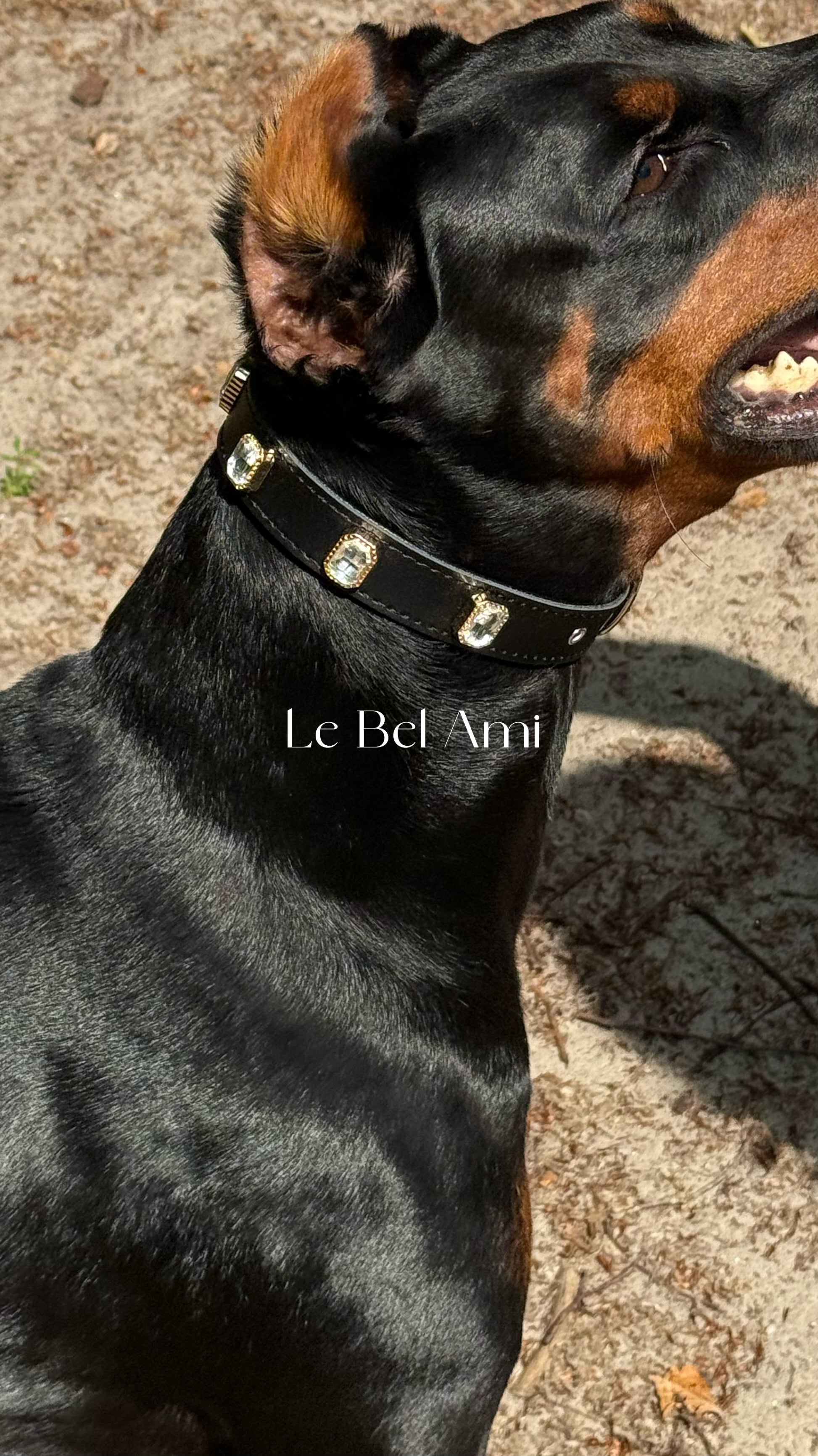 Noir Radient Collar