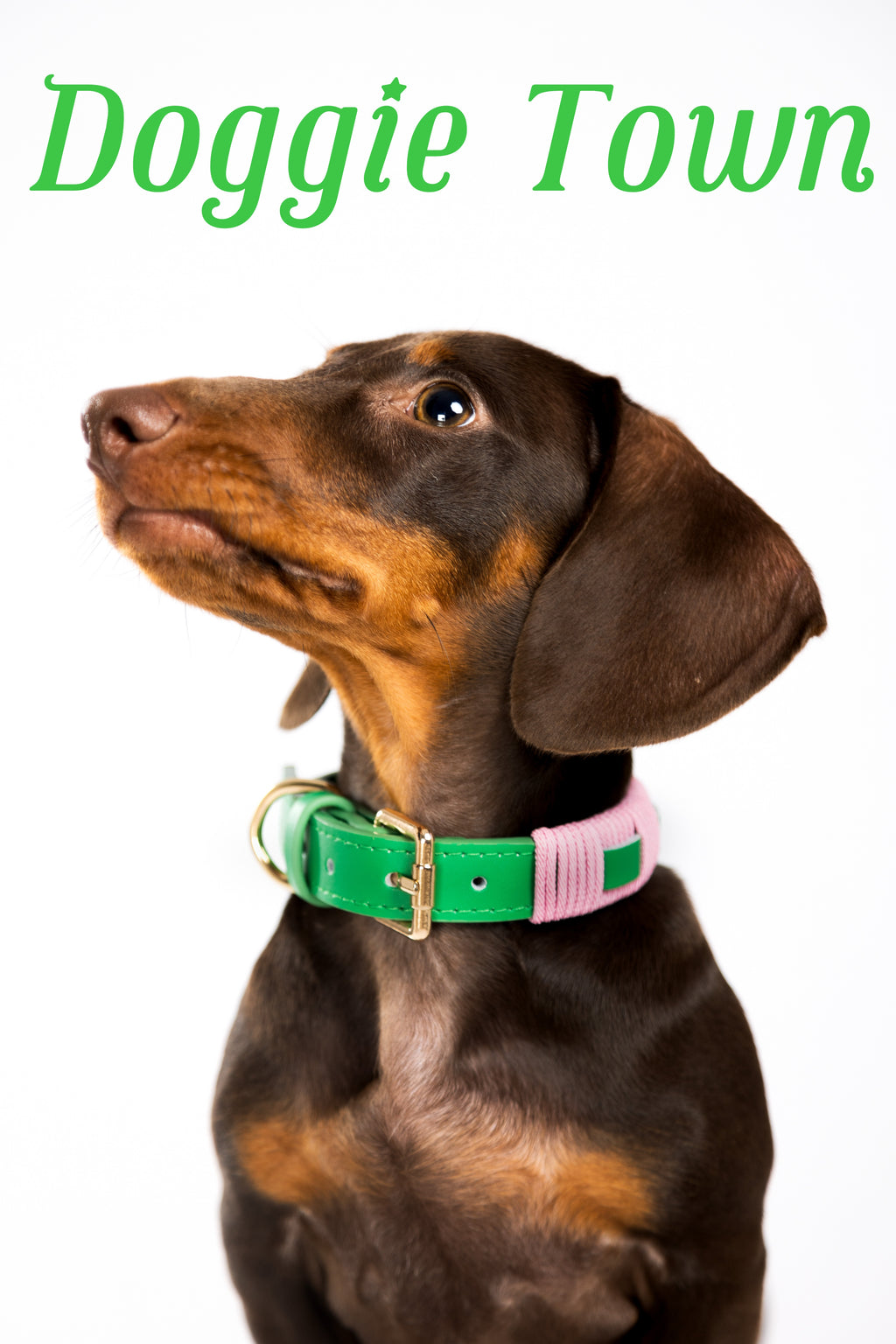 Green Energy Collar