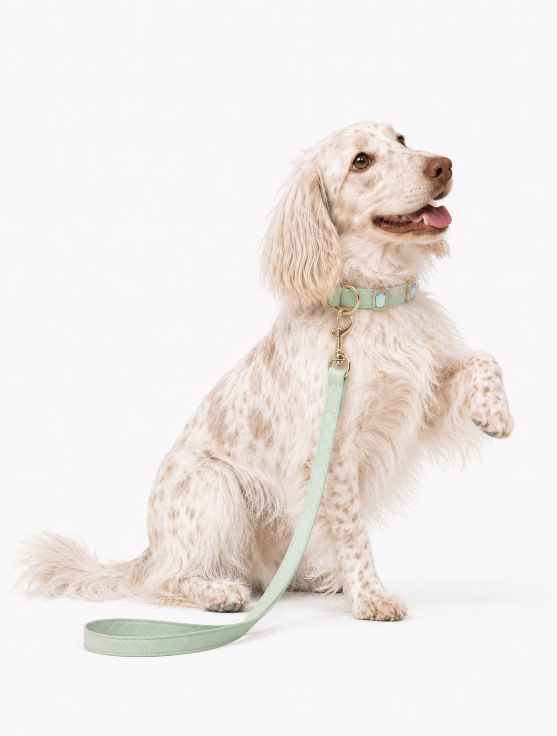Mint Aurora Baby Collar + Leash