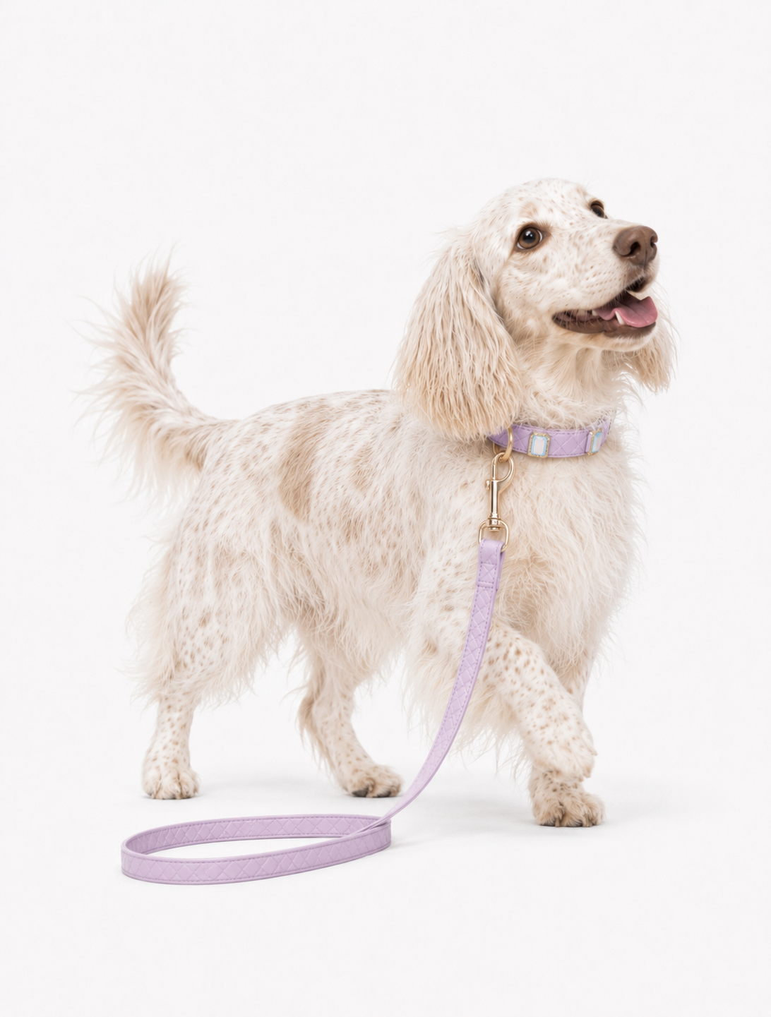 Lilac Aurora Baby Collar + Leash