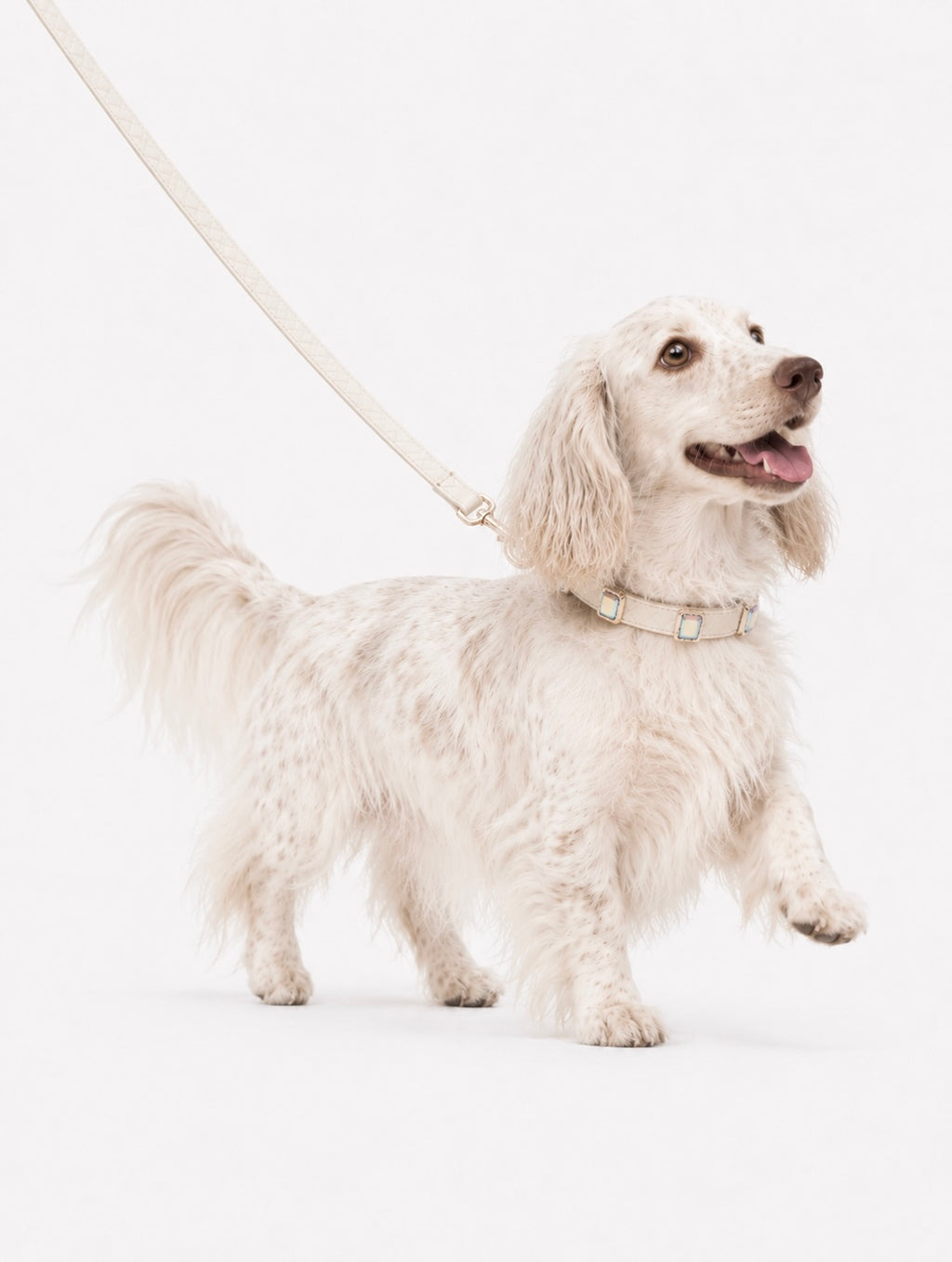 Beige Aurora Baby Collar + Leash