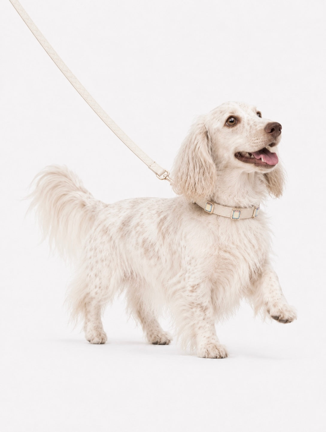 Beige Aurora Baby Collar + Leash