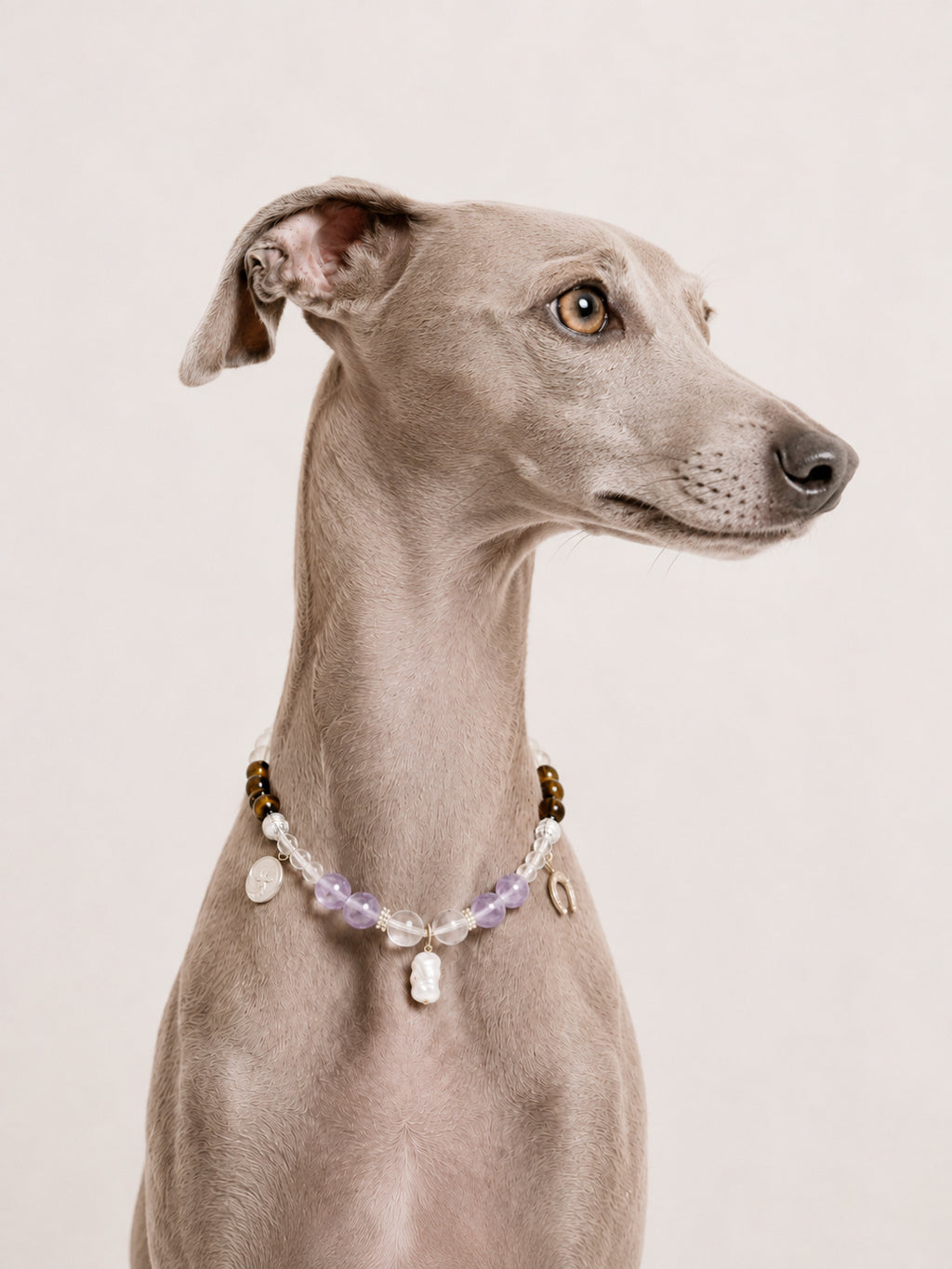 REFLET | Luxury Crystals Dog Necklace | 30-35CM