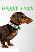 Green Energy Collar