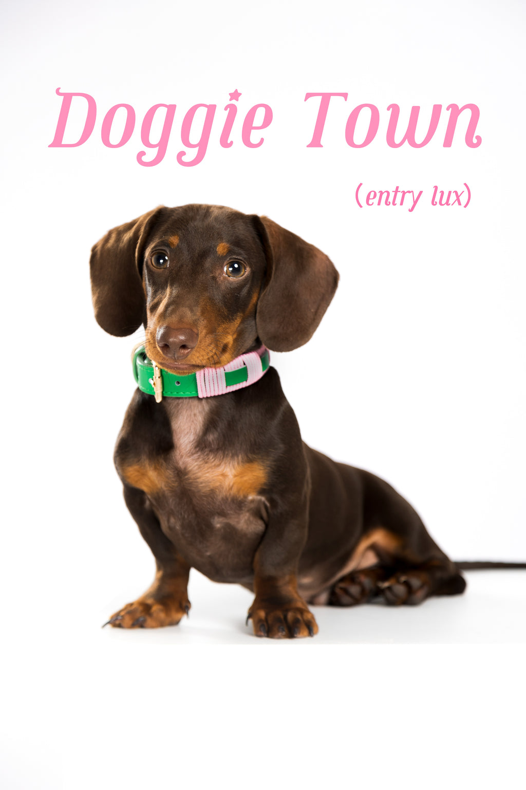 Green Energy Collar