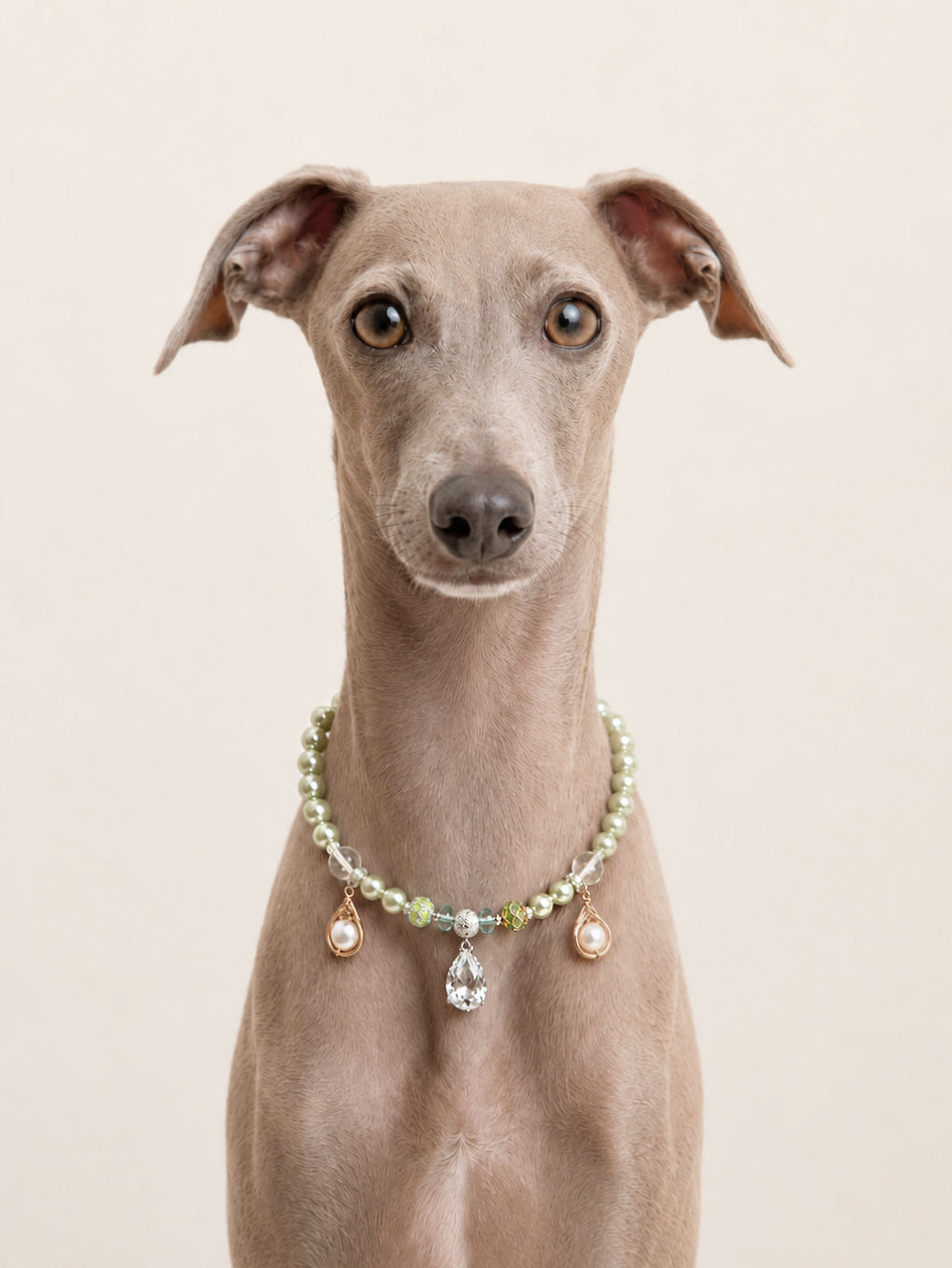 VERDURE | Luxury Pearl Dog Necklace | 35-40CM
