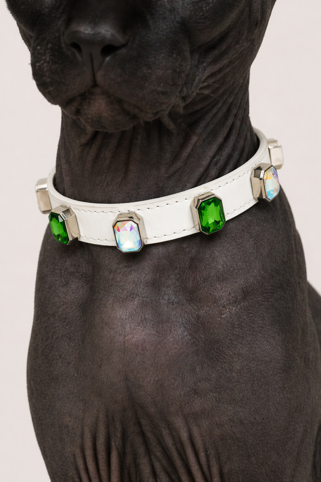 Blanc Radient Collar