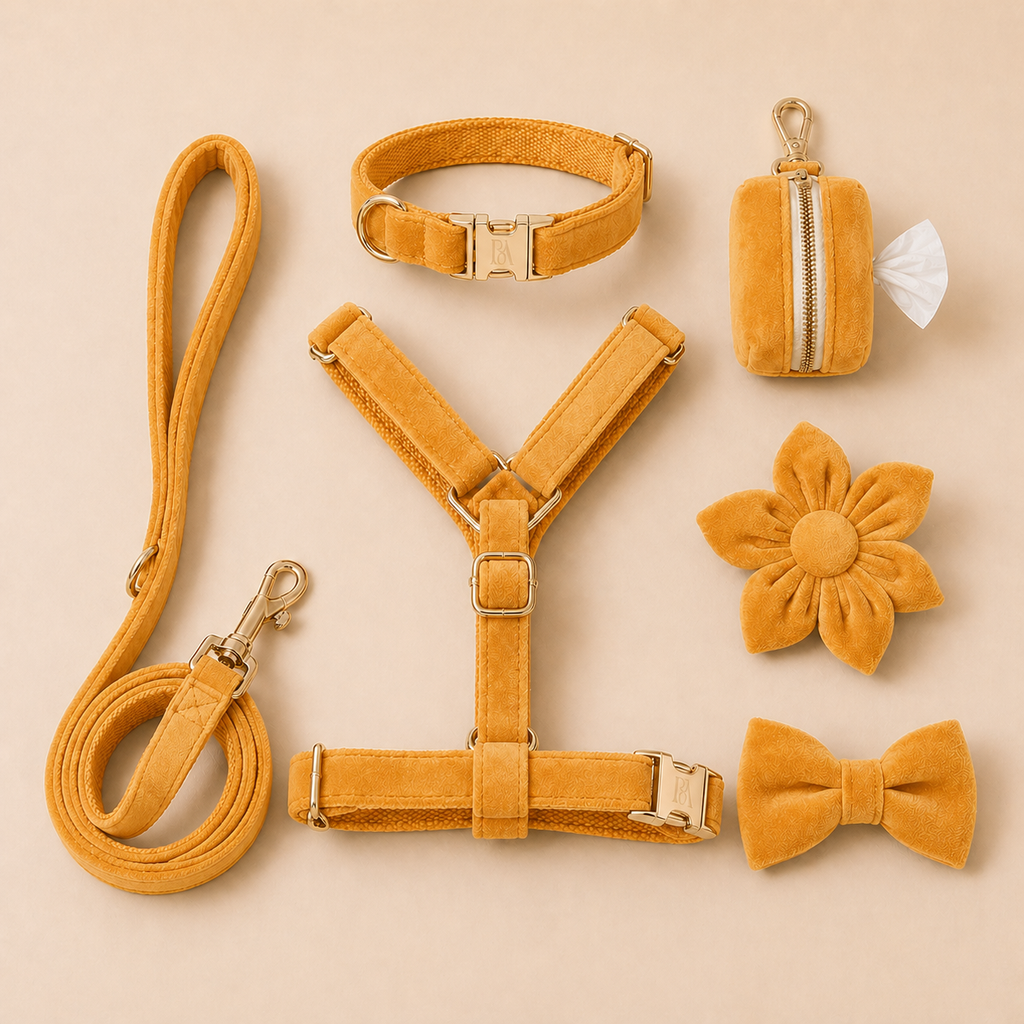 Pumpkin Velvet Garden Set