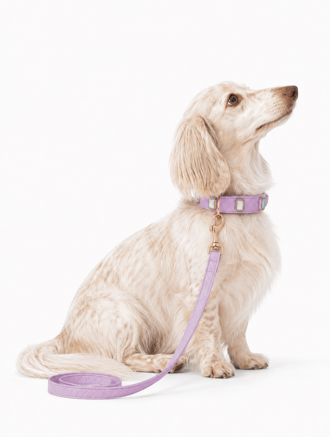 Lilac Aurora Baby Collar + Leash