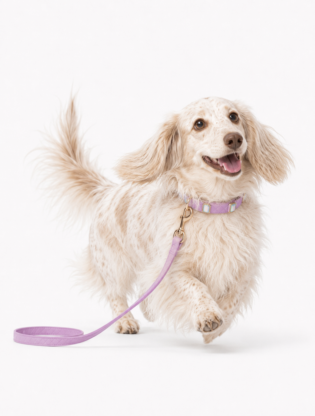 Lilac Aurora Baby Collar + Leash