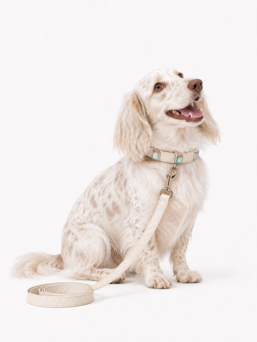 Beige Aurora Baby Collar + Leash