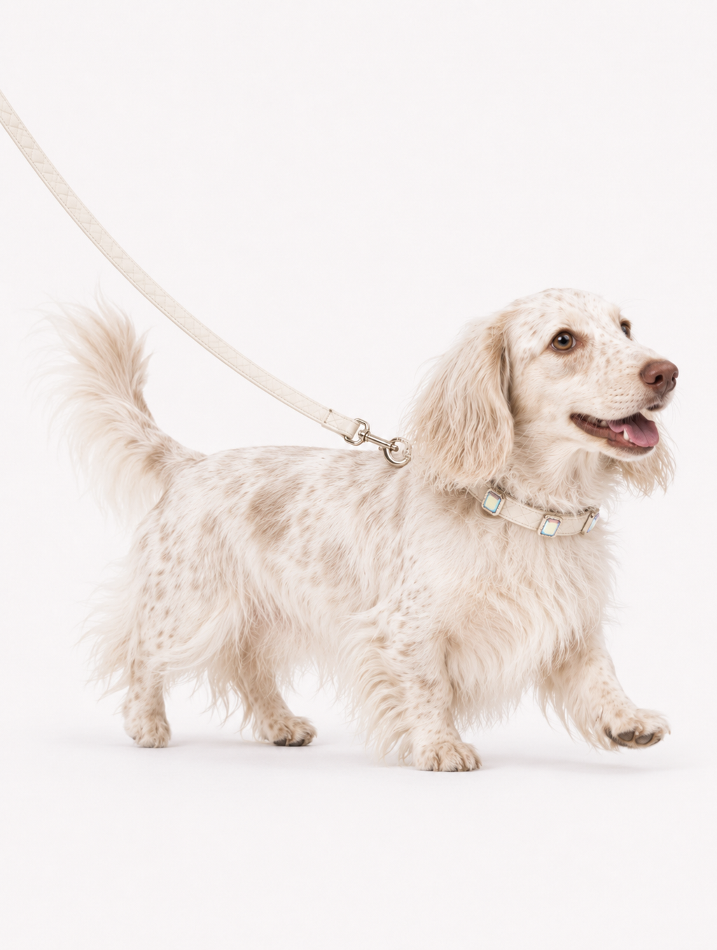 Beige Aurora Baby Collar + Leash