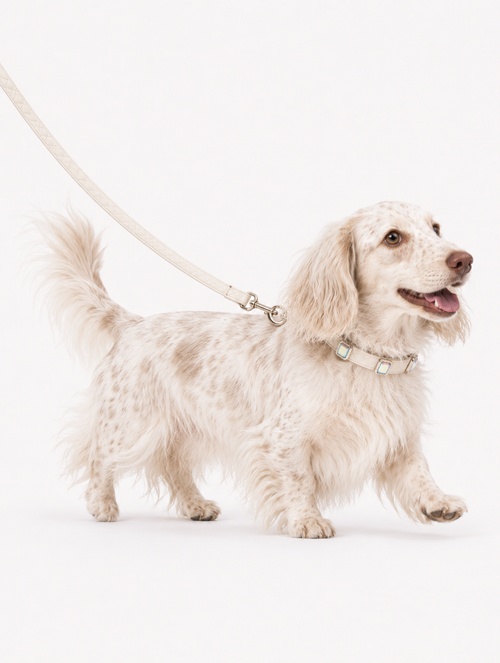 Beige Aurora Baby Collar + Leash