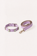 Lilac Aurora Baby Collar + Leash