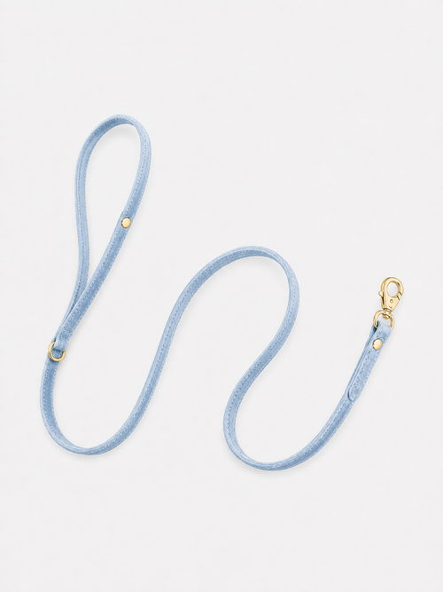 Aqua Velvet Garden Leash