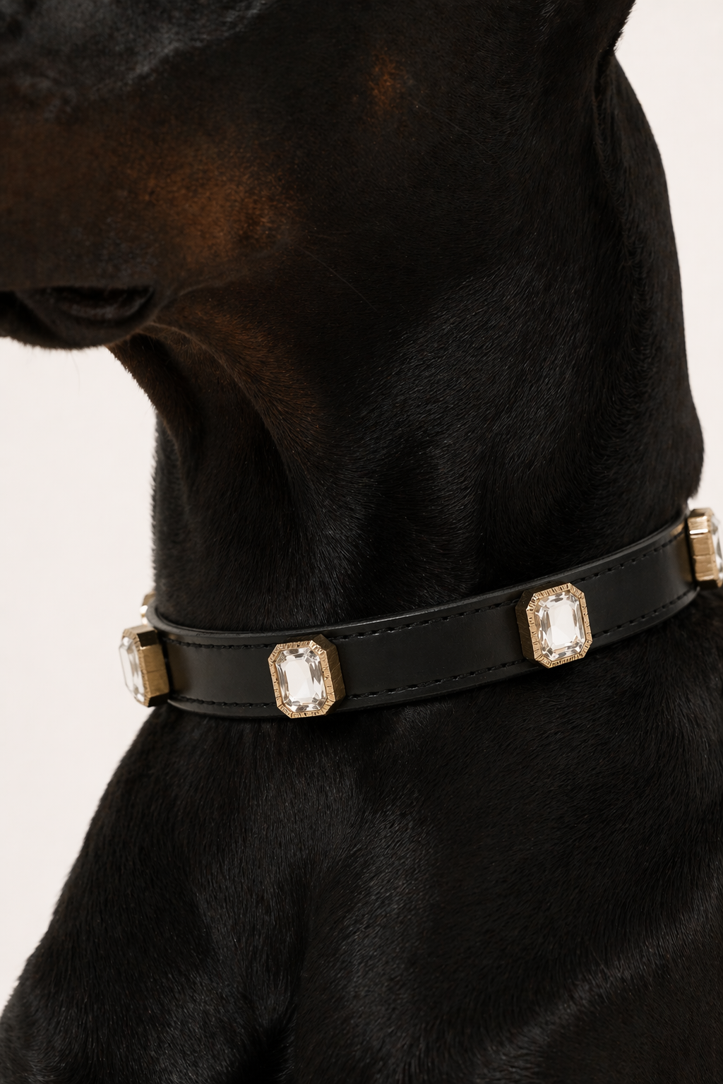 Noir Radient Collar