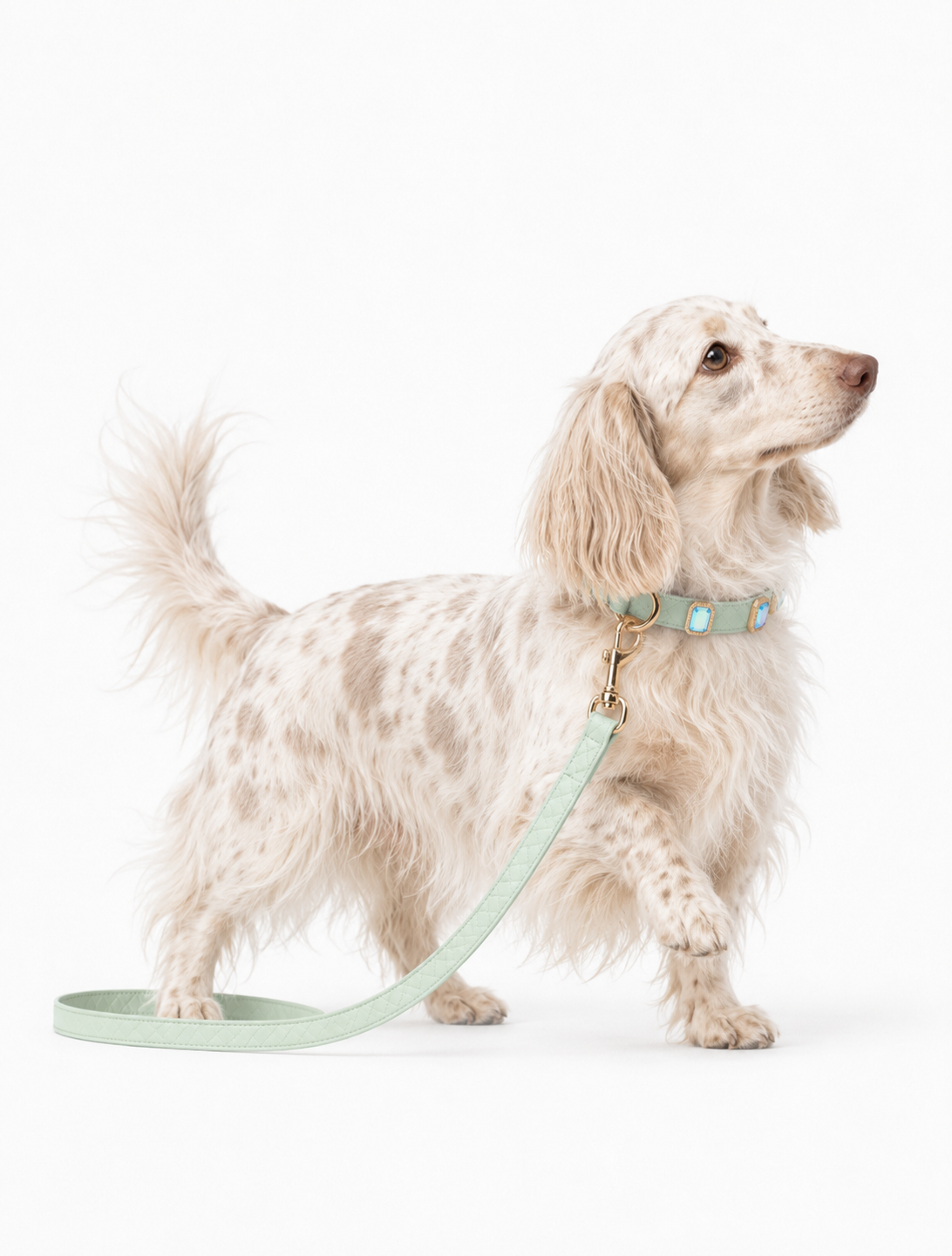 Mint Aurora Baby Collar + Leash