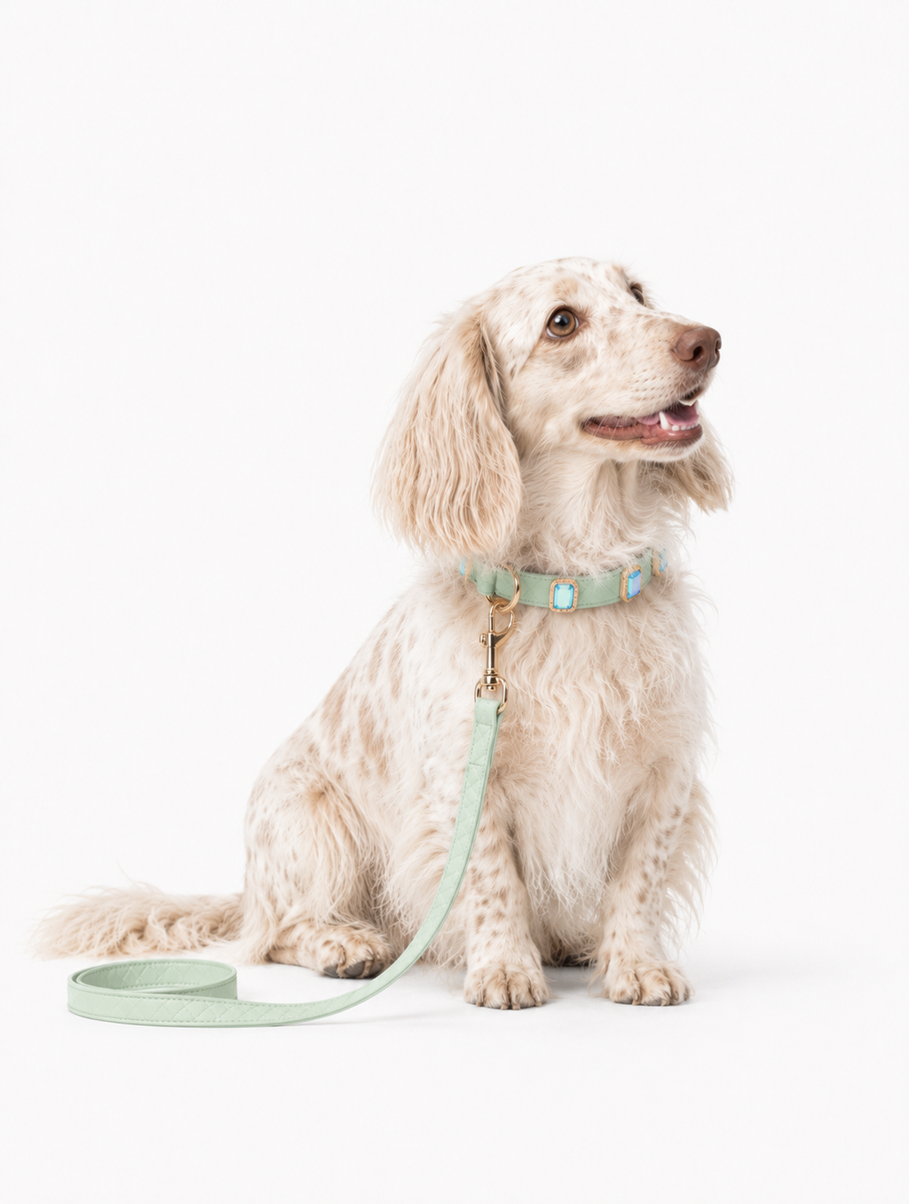 Mint Aurora Baby Collar + Leash