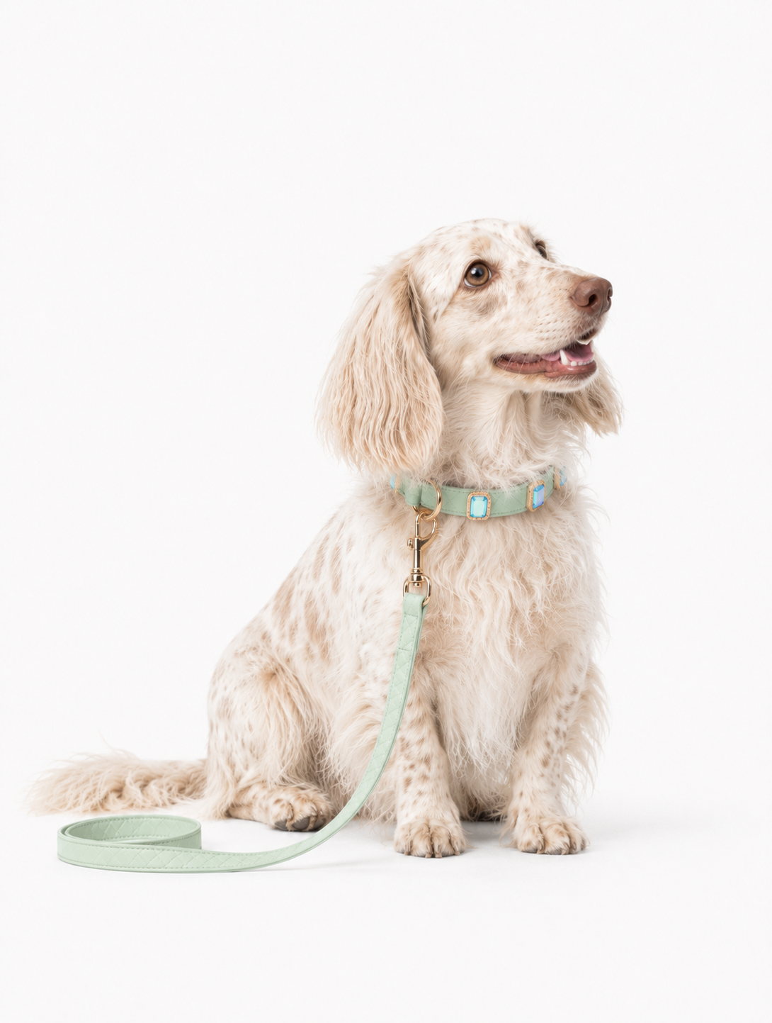 Mint Aurora Baby Collar + Leash