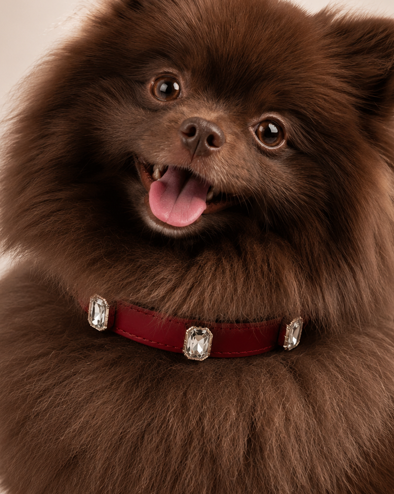Ruby Radient Collar