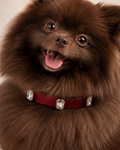 Ruby Radient Collar