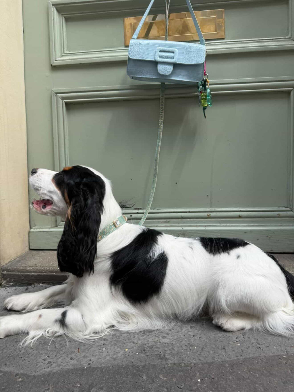 Jade Luxe Gem Collar + Leash