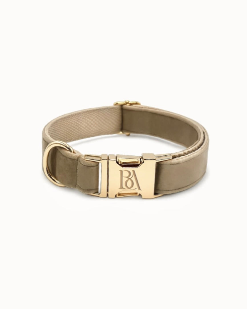 Étoupe Velvet Pet Collar