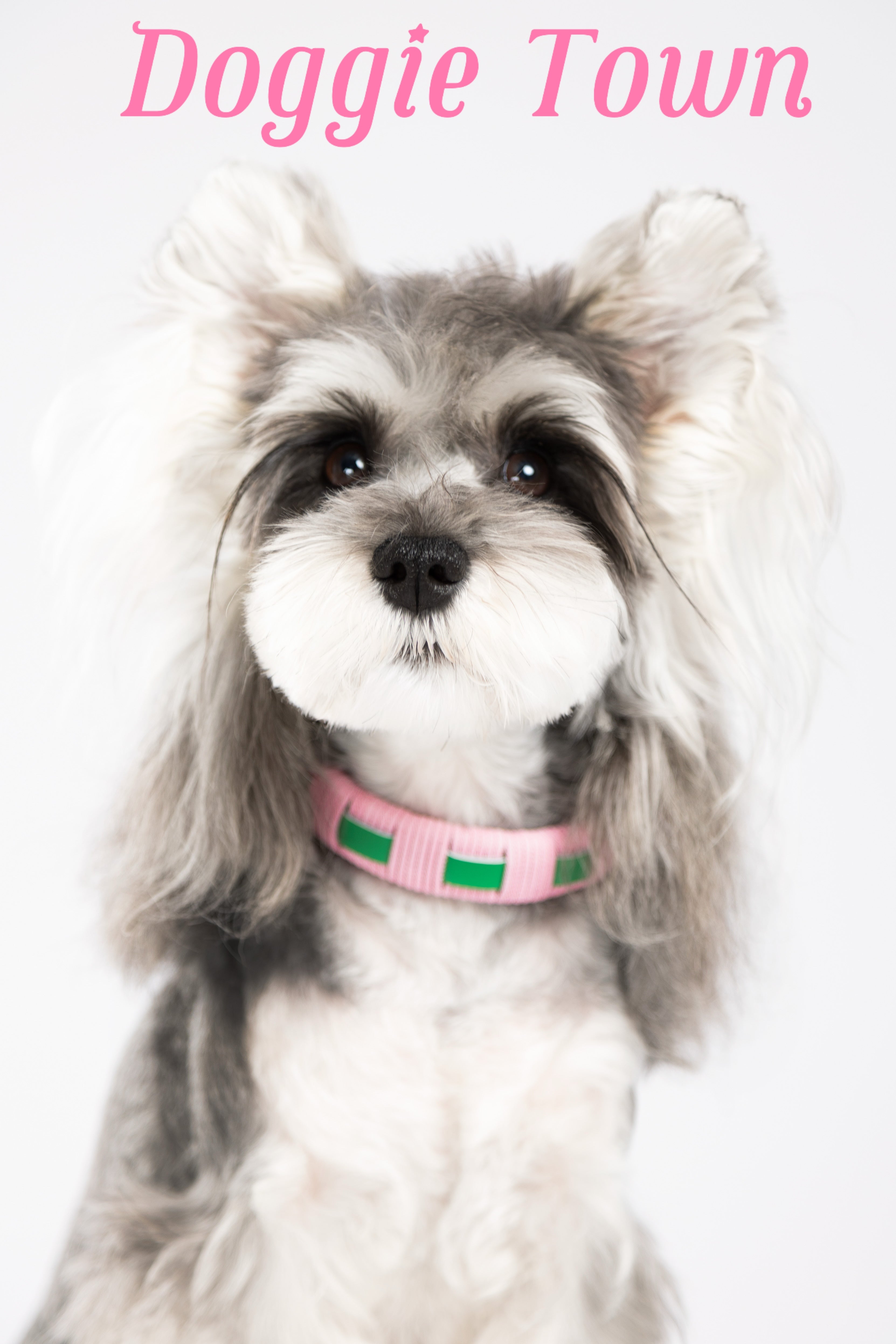 Green Energy Collar