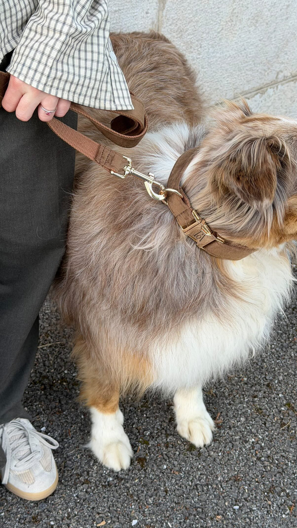 Coco Velvet Pet Leash