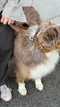 Coco Velvet Pet Leash