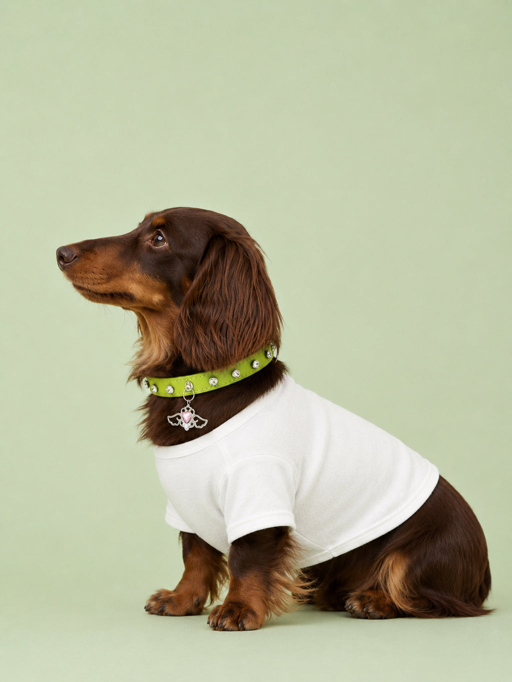 Matcha Angel Baby Collar