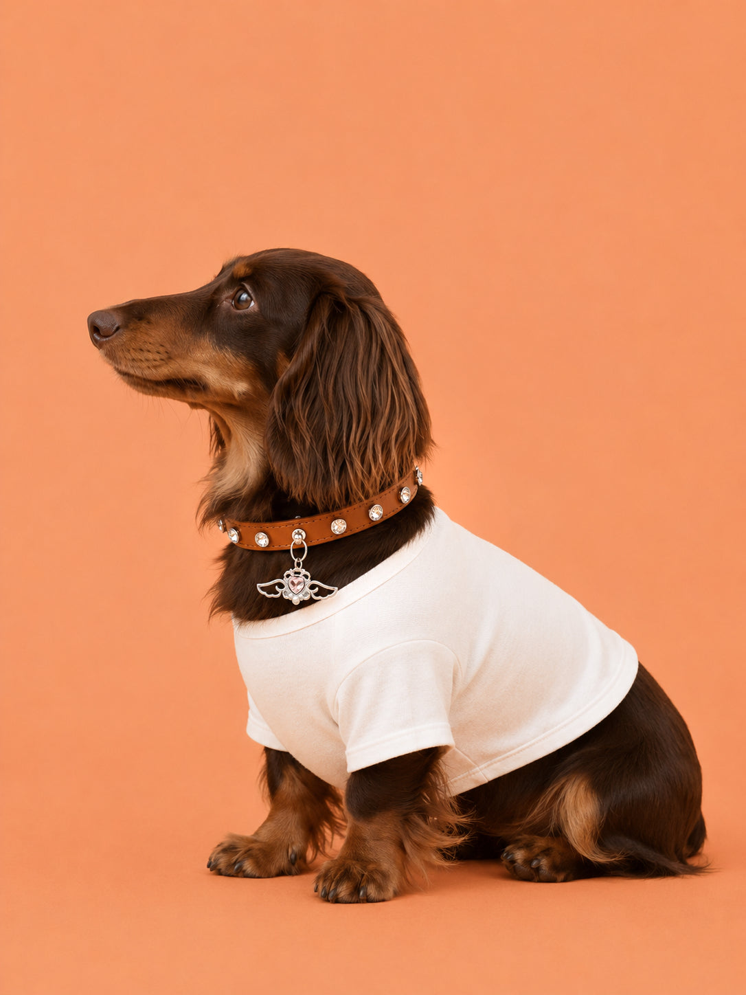 Toffee Angel Baby Collar