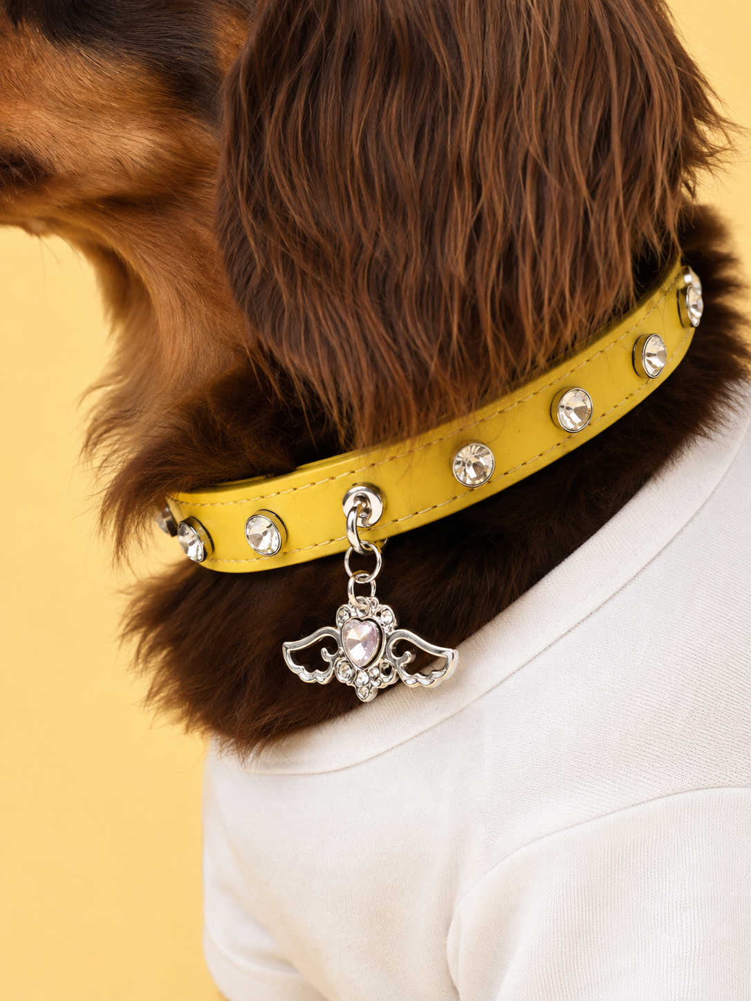 Lemon Angel Baby Collar