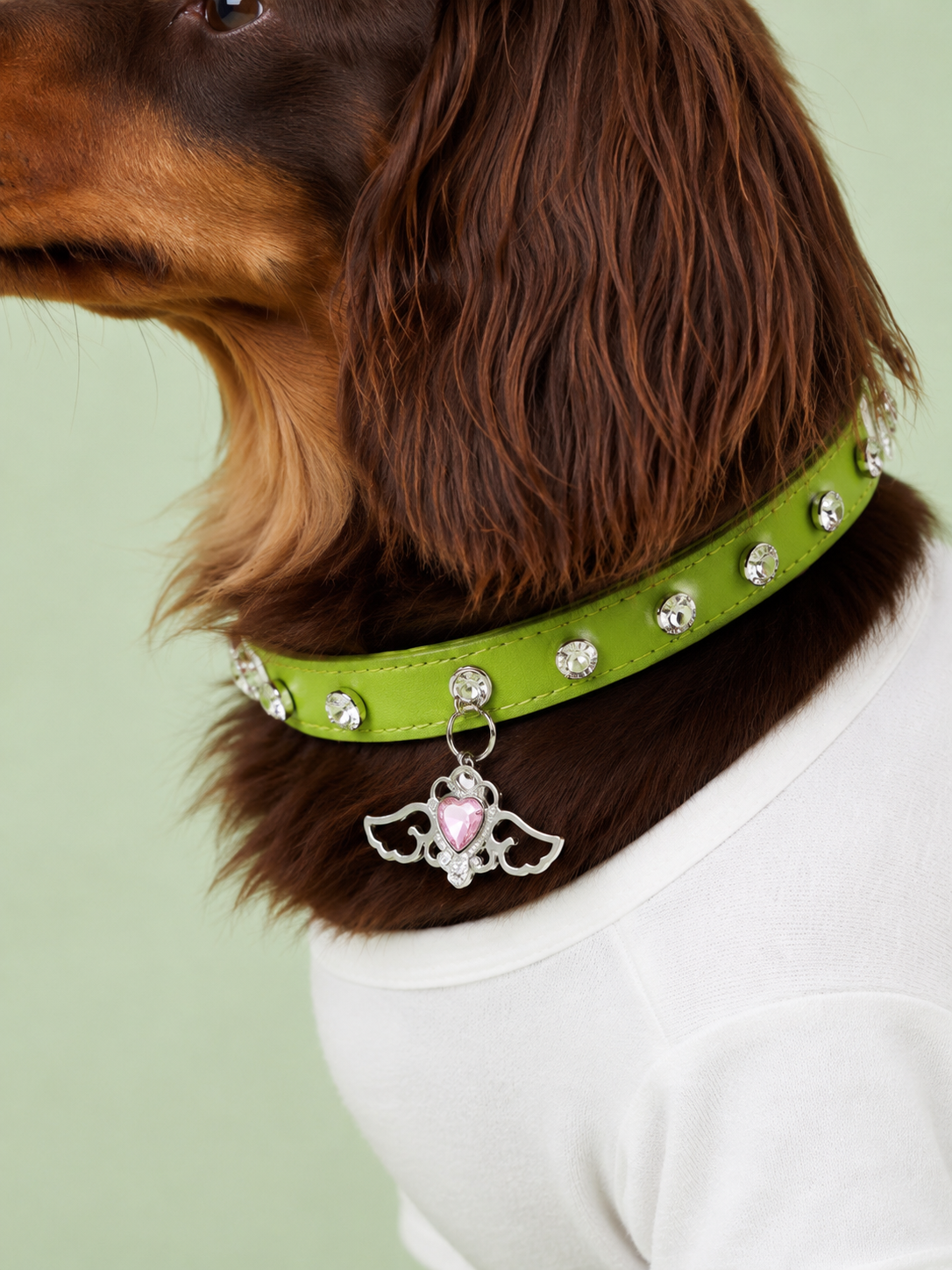 Matcha Angel Baby Collar