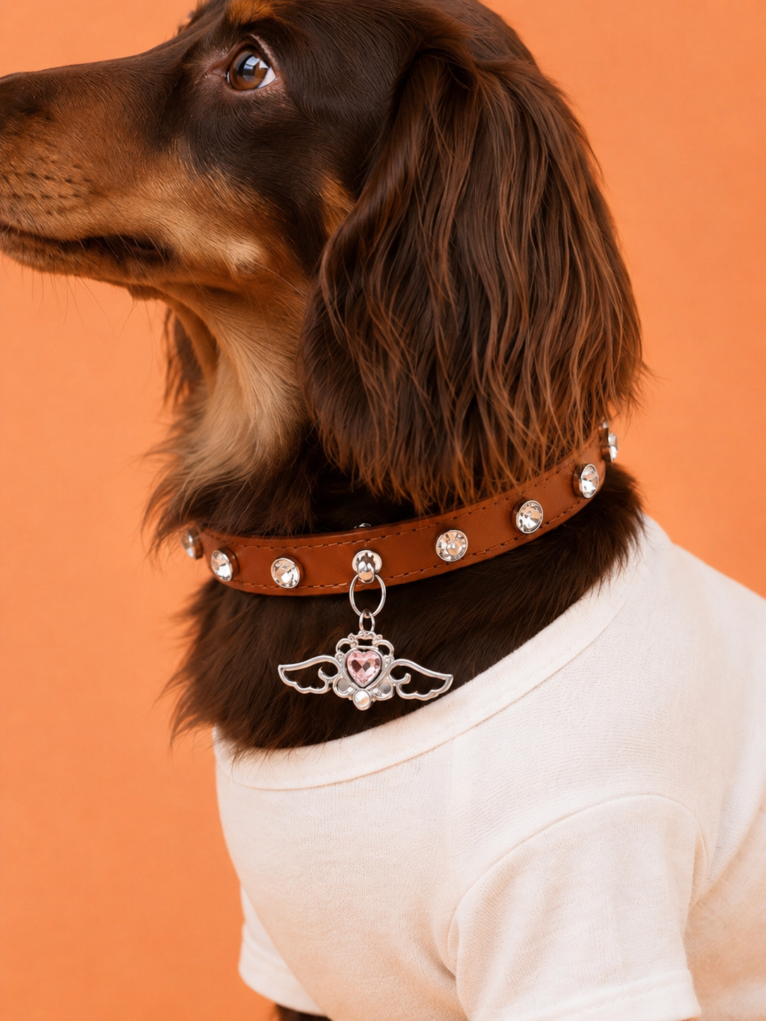 Toffee Angel Baby Collar