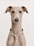 REFLET | Luxury Crystals Dog Necklace | 30-35CM