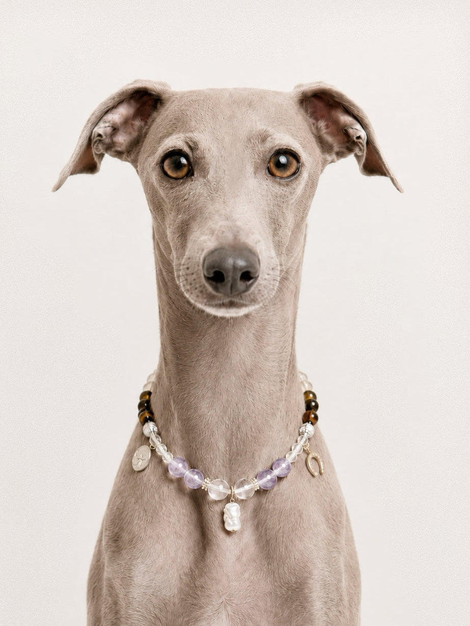REFLET | Luxury Crystals Dog Necklace | 30-35CM