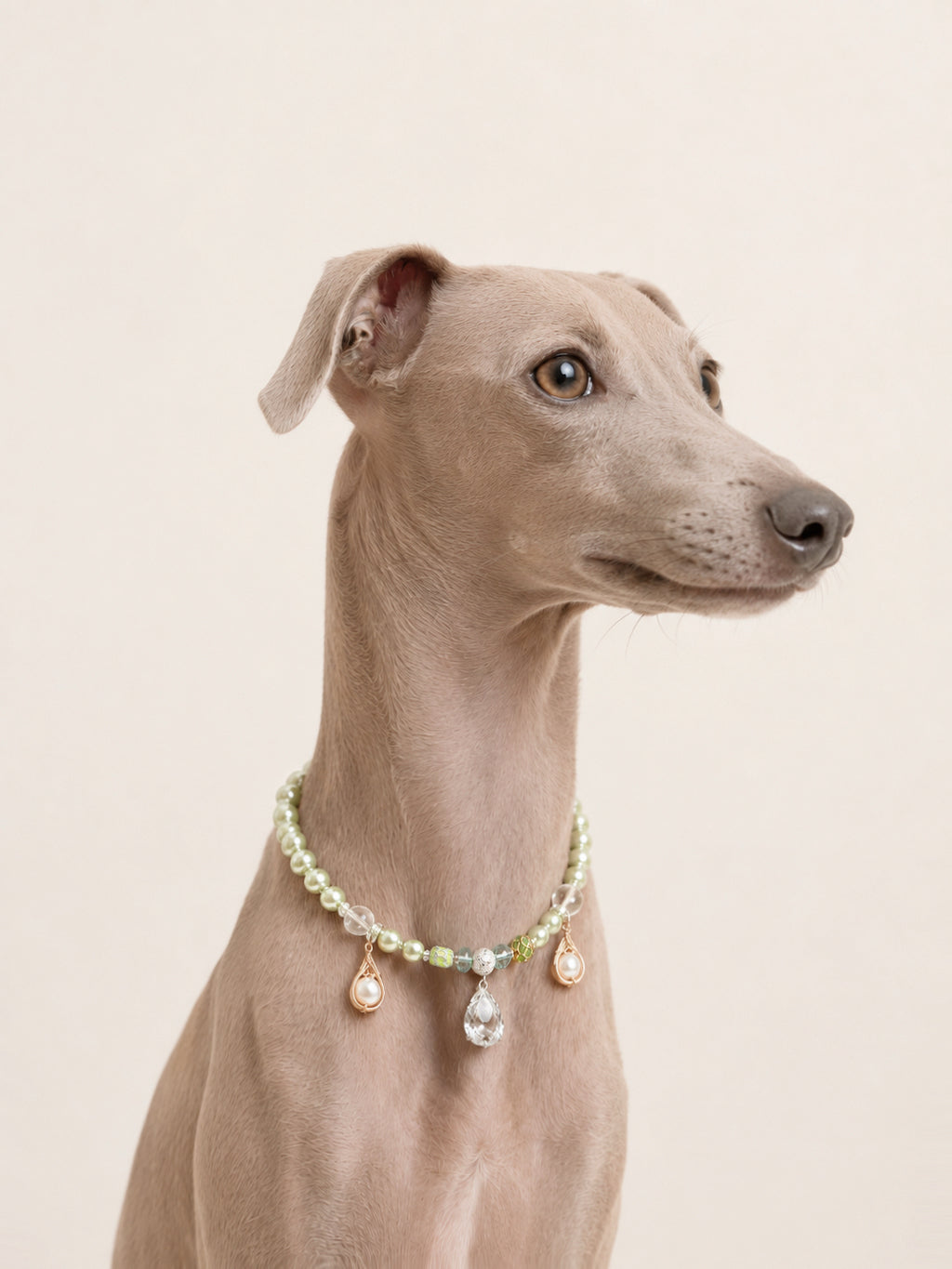 VERDURE | Luxury Pearl Dog Necklace | 35-40CM