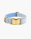 Aqua Velvet Garden Collar