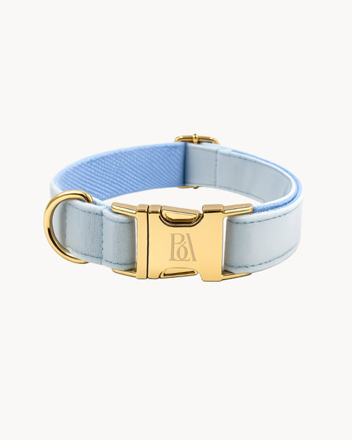 Aqua Velvet Garden Collar